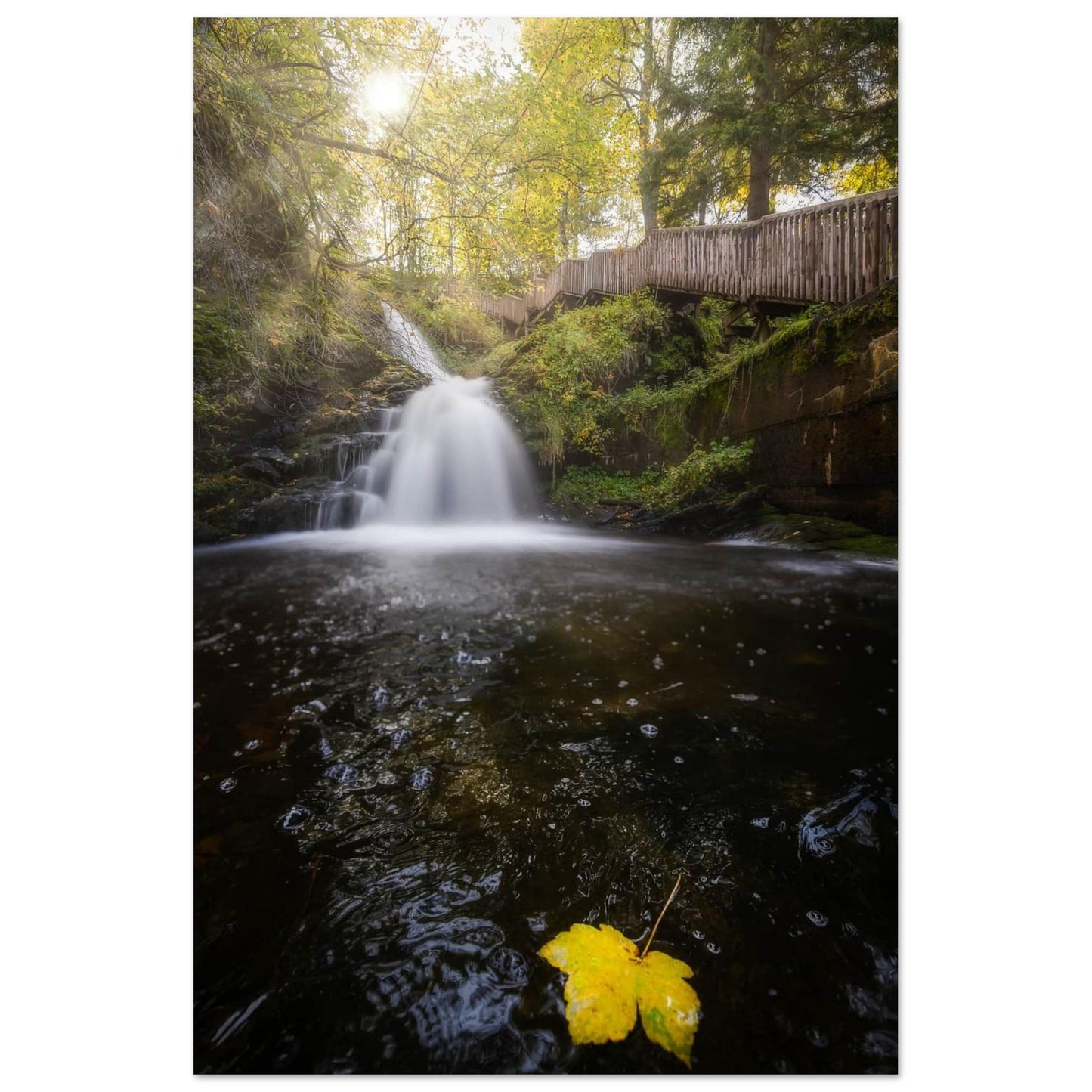 Ilabekken Stream - Trondheim, Norway - fine art photo print