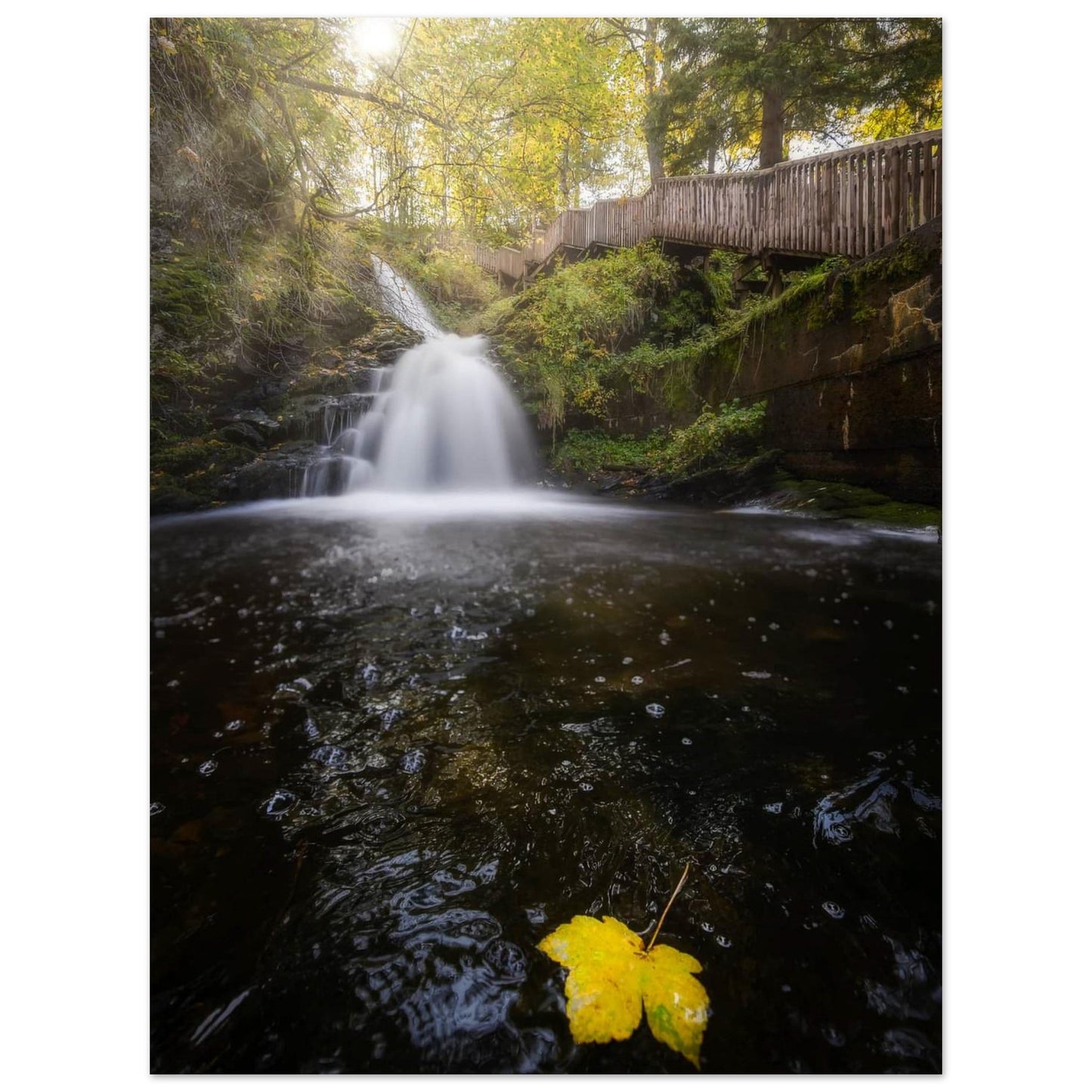 Ilabekken Stream - Trondheim, Norway - fine art photo print