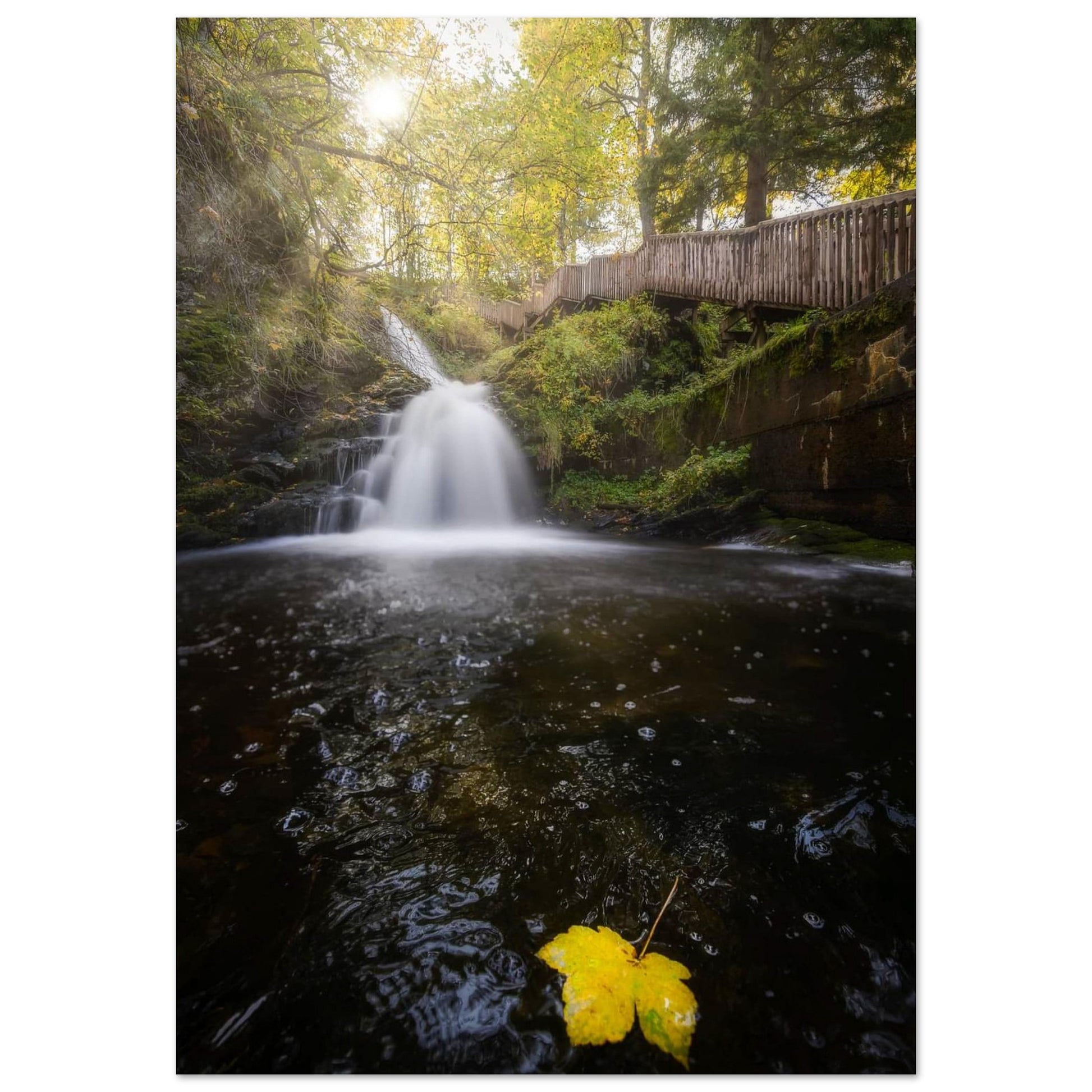 Ilabekken Stream - Trondheim, Norway - Norway wall art print