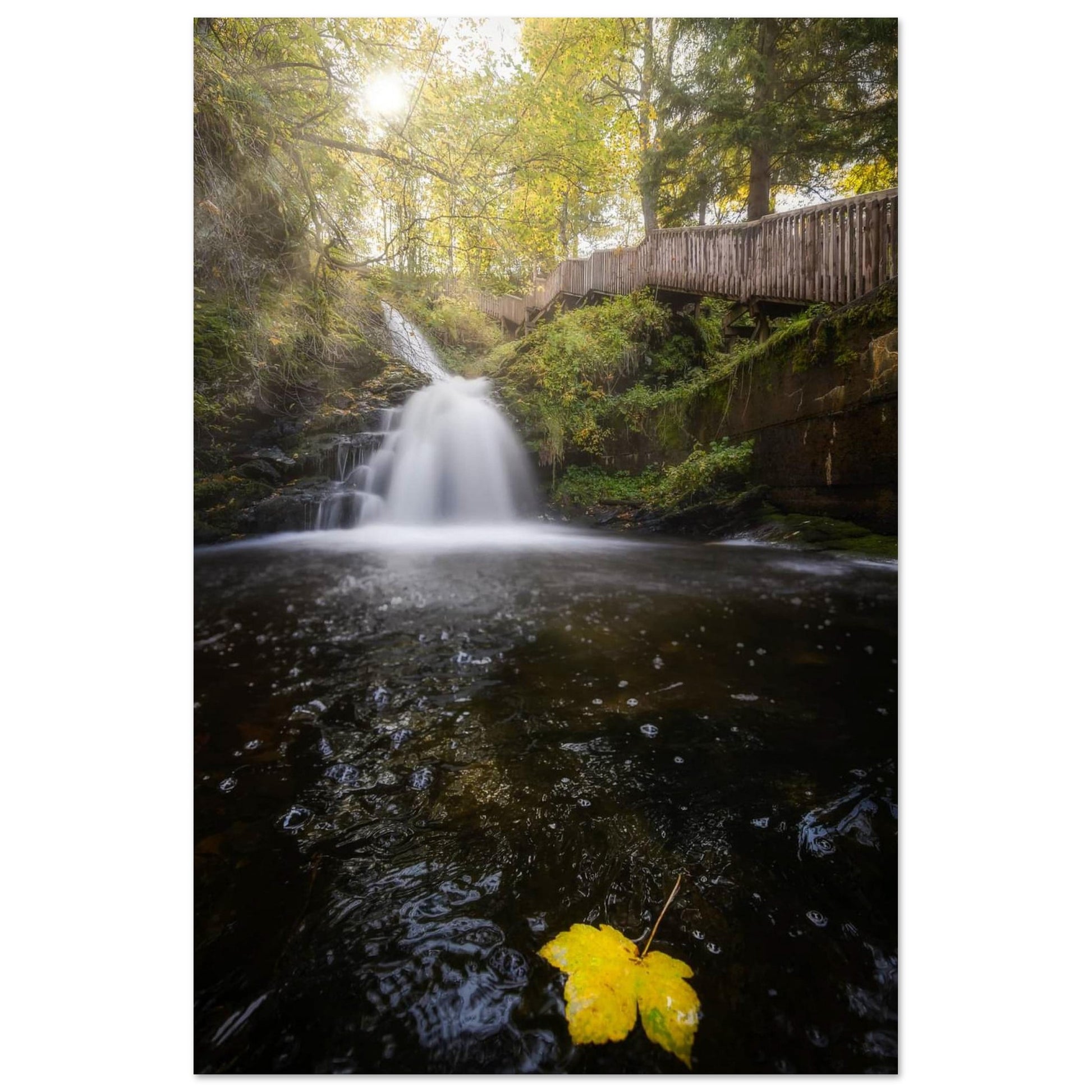 Ilabekken Stream - Trondheim, Norway - fine art photo print