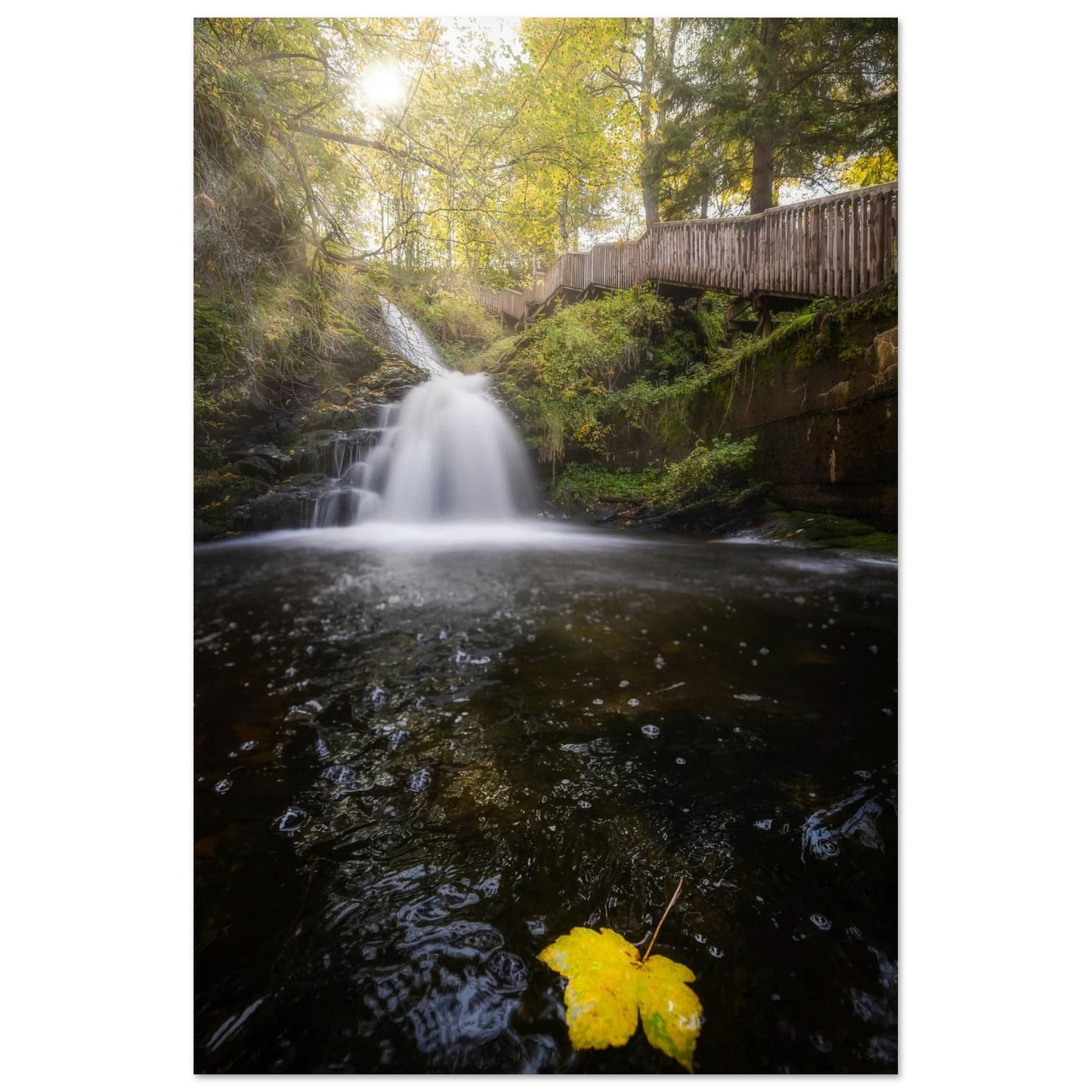 Ilabekken Stream - Trondheim, Norway - Norwegian landscape photography