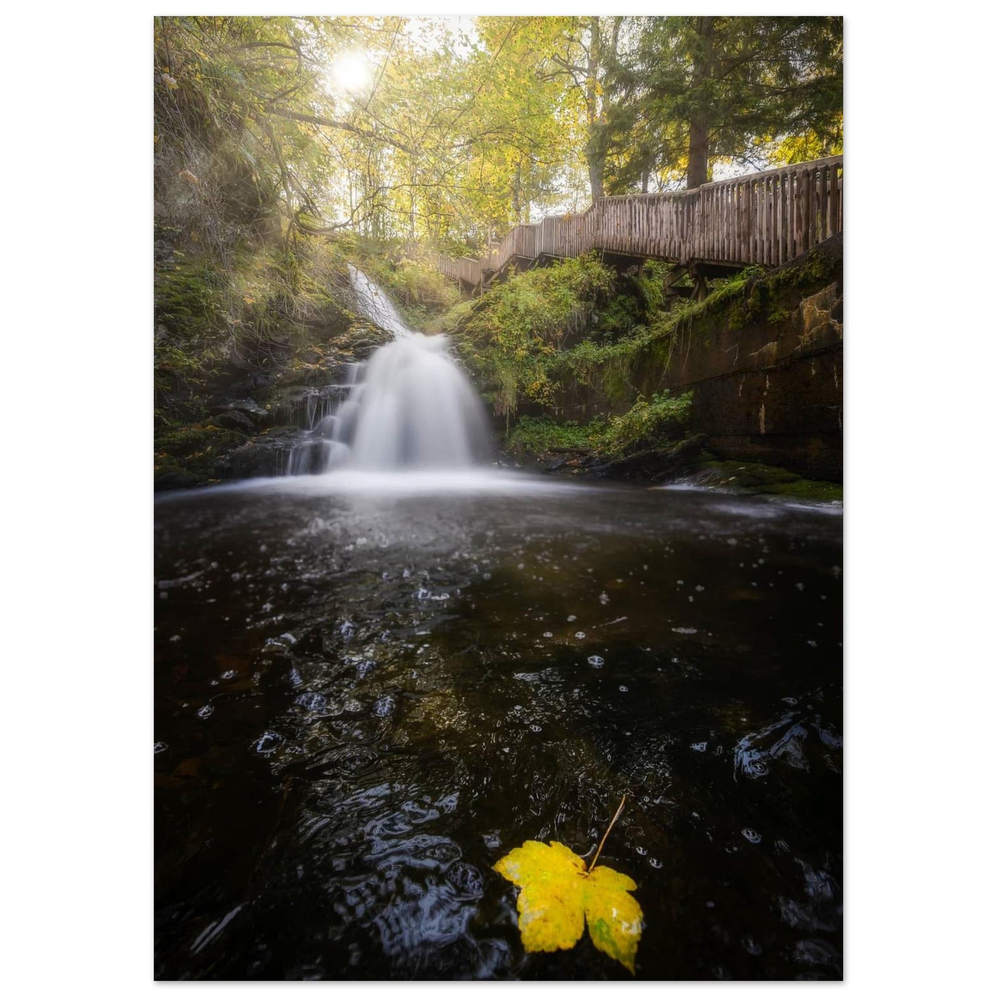 Ilabekken Stream - Trondheim, Norway - Norway wall art print