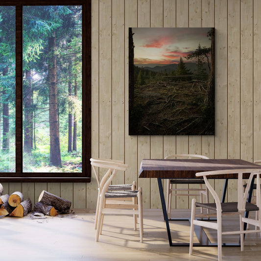 Sunset in Bymarka – Trondheim Forest Viewpoint