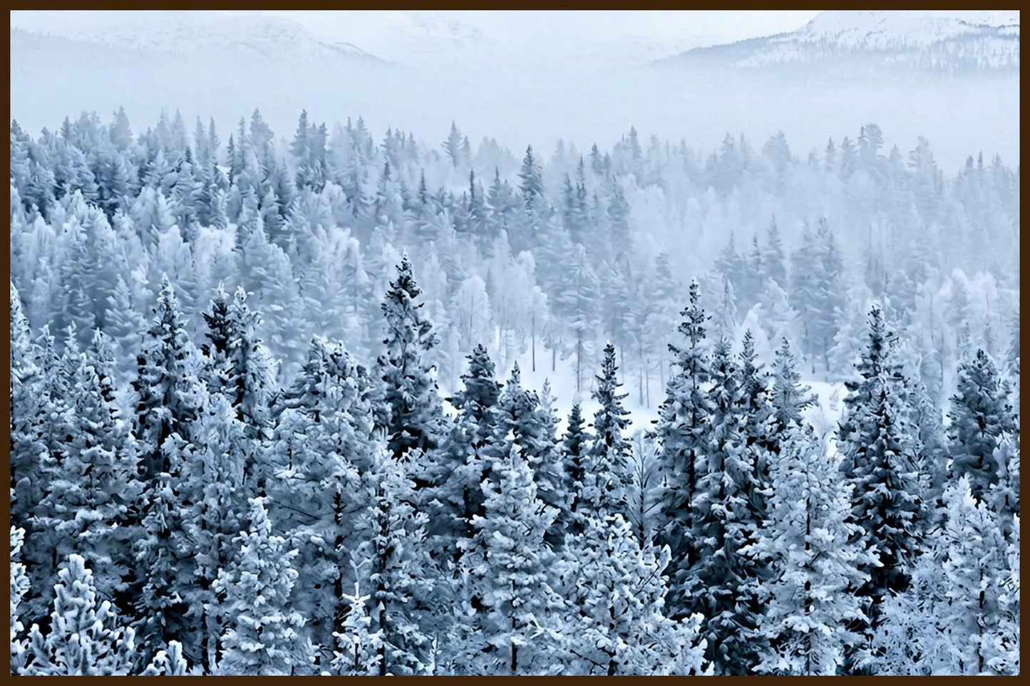 Misty Forest Panorama III - Norwegian Forest AI Art Print - Norway wall art print