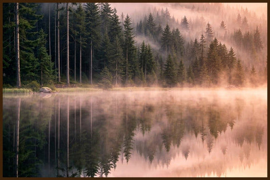 Misty Forest Panorama IV - Norwegian Forest AI Art Print - Norway wall art print