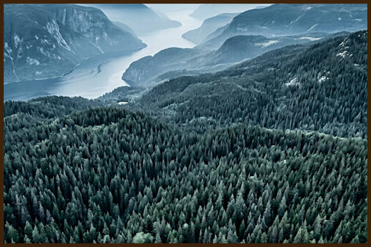 Misty Forest Panorama V - Norwegian Forest AI Art Print - Norway wall art print