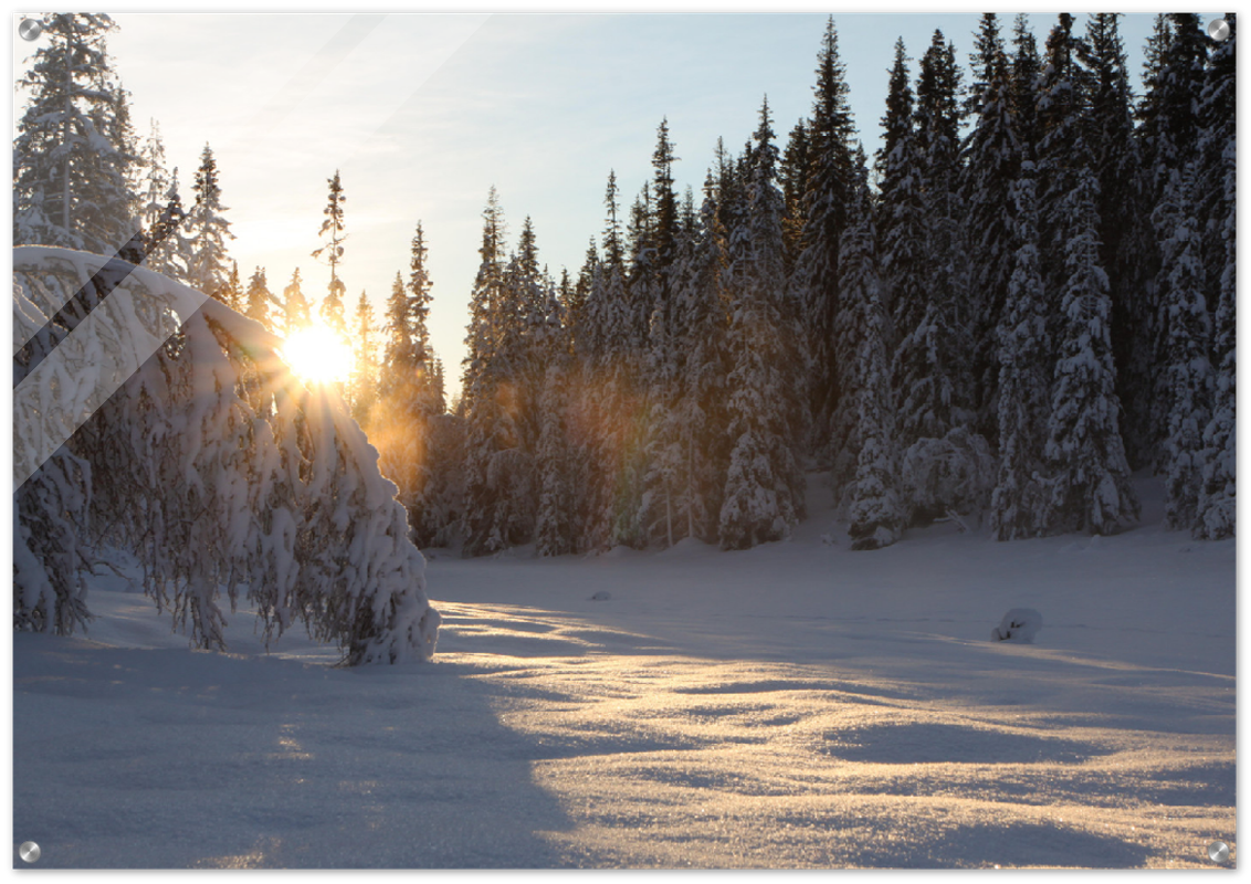 Vinterbilde av soloppgang i Trollheimen, Rennebu.