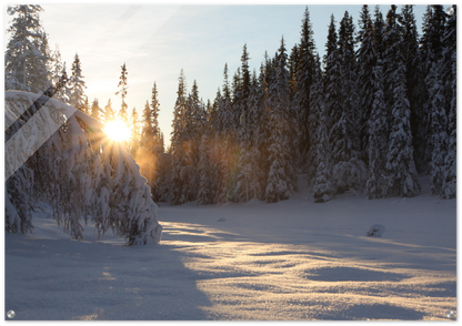 Vinterbilde av soloppgang i Trollheimen, Rennebu.