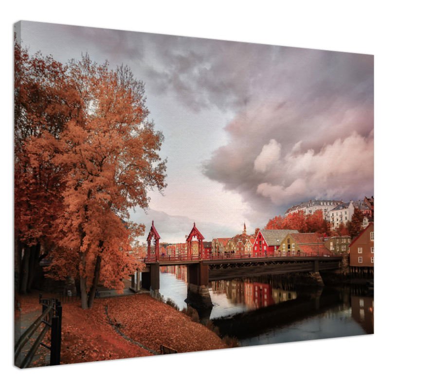 Trondheim in Autumn - City in Fall Colors - Norwegian landscape photography