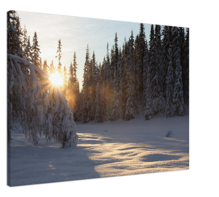 Vinterbilde på lerret av soloppgang i Trollheimen, Rennebu.