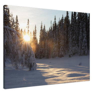 Vinterbilde på lerret av soloppgang i Trollheimen, Rennebu.