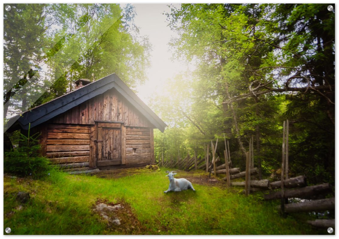 Blissful Summer - Old Ironworks, Mostadmarka, Norway - Norway wall art print