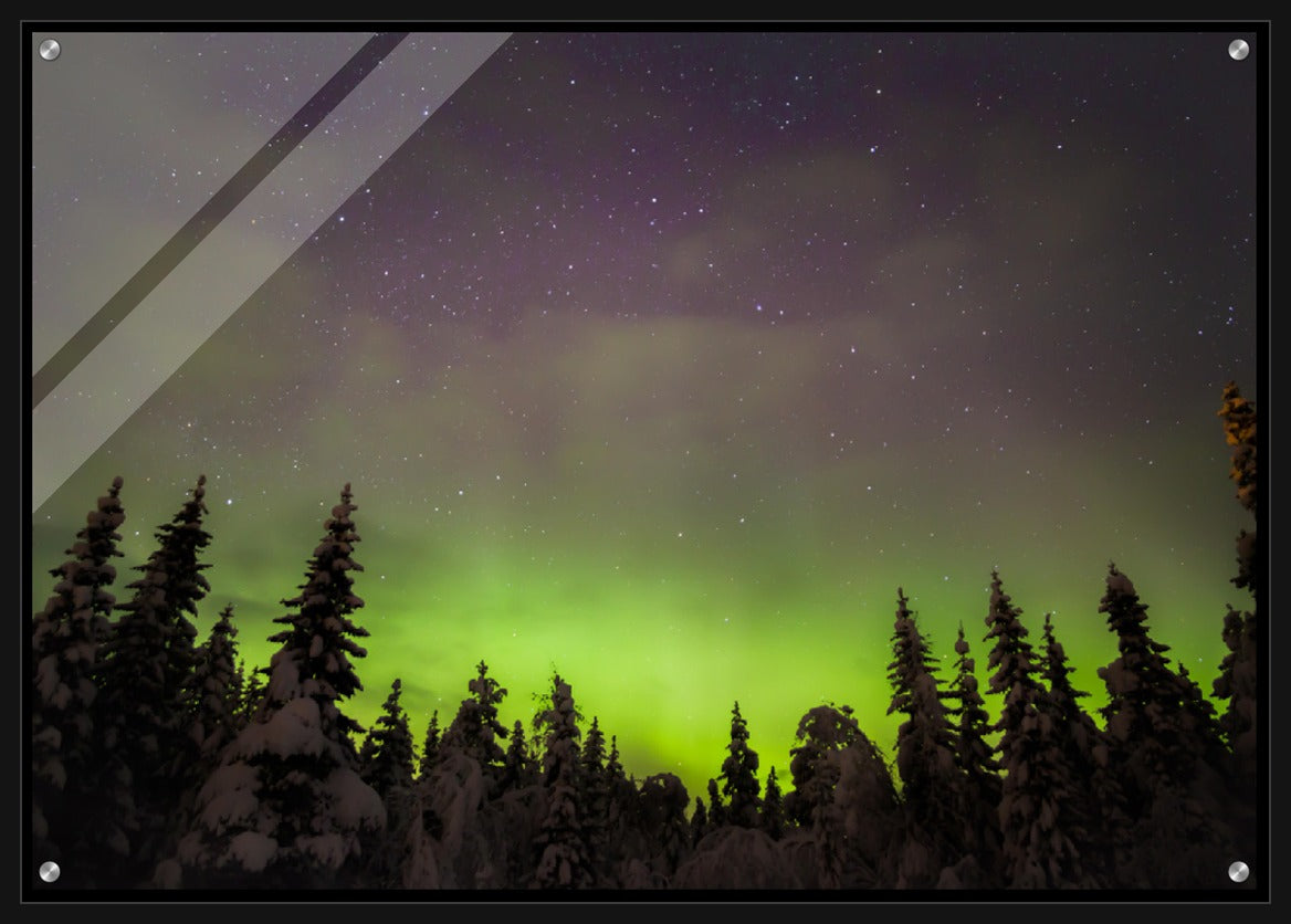 Forest Lights - Aurora Borealis Over Snowy Trees, Norway - Norway wall art print