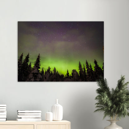 Forest Lights - Aurora Borealis Over Snowy Trees, Norway - Norwegian landscape photography