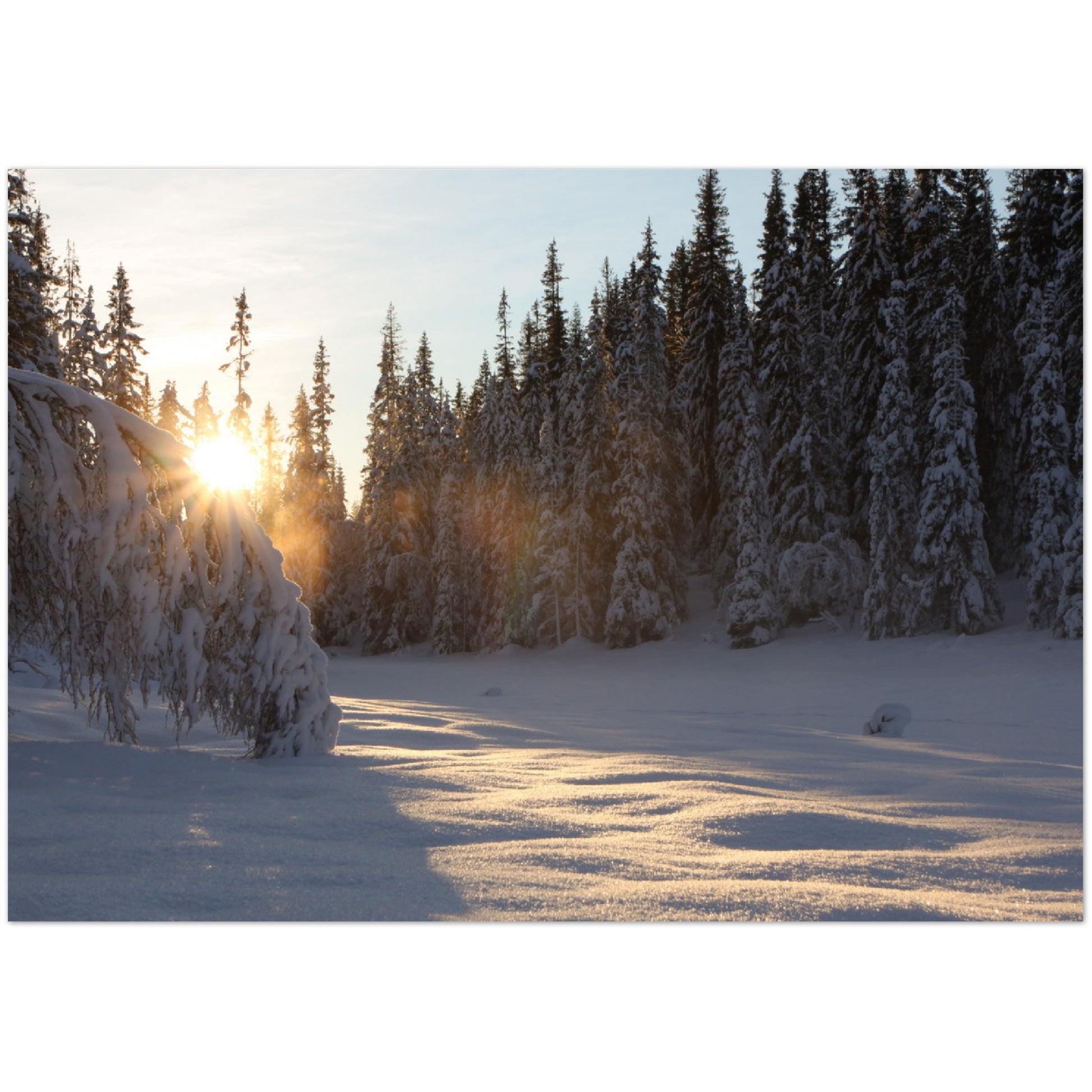 Vinterbilde av soloppgang i Trollheimen, Rennebu.