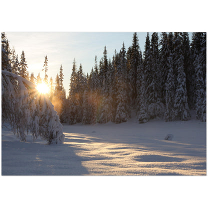 Vinterbilde av soloppgang i Trollheimen, Rennebu.