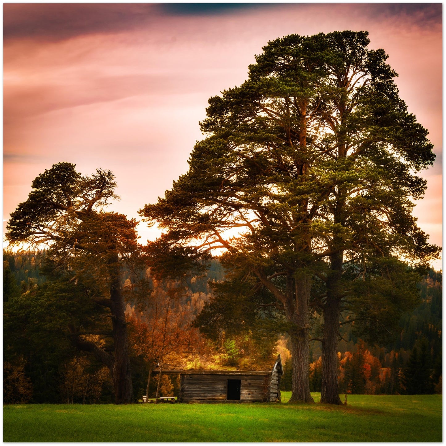 Høstbilde fra Budal, Trøndelag